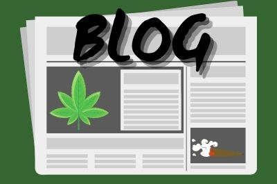 Cancún 420 Blog